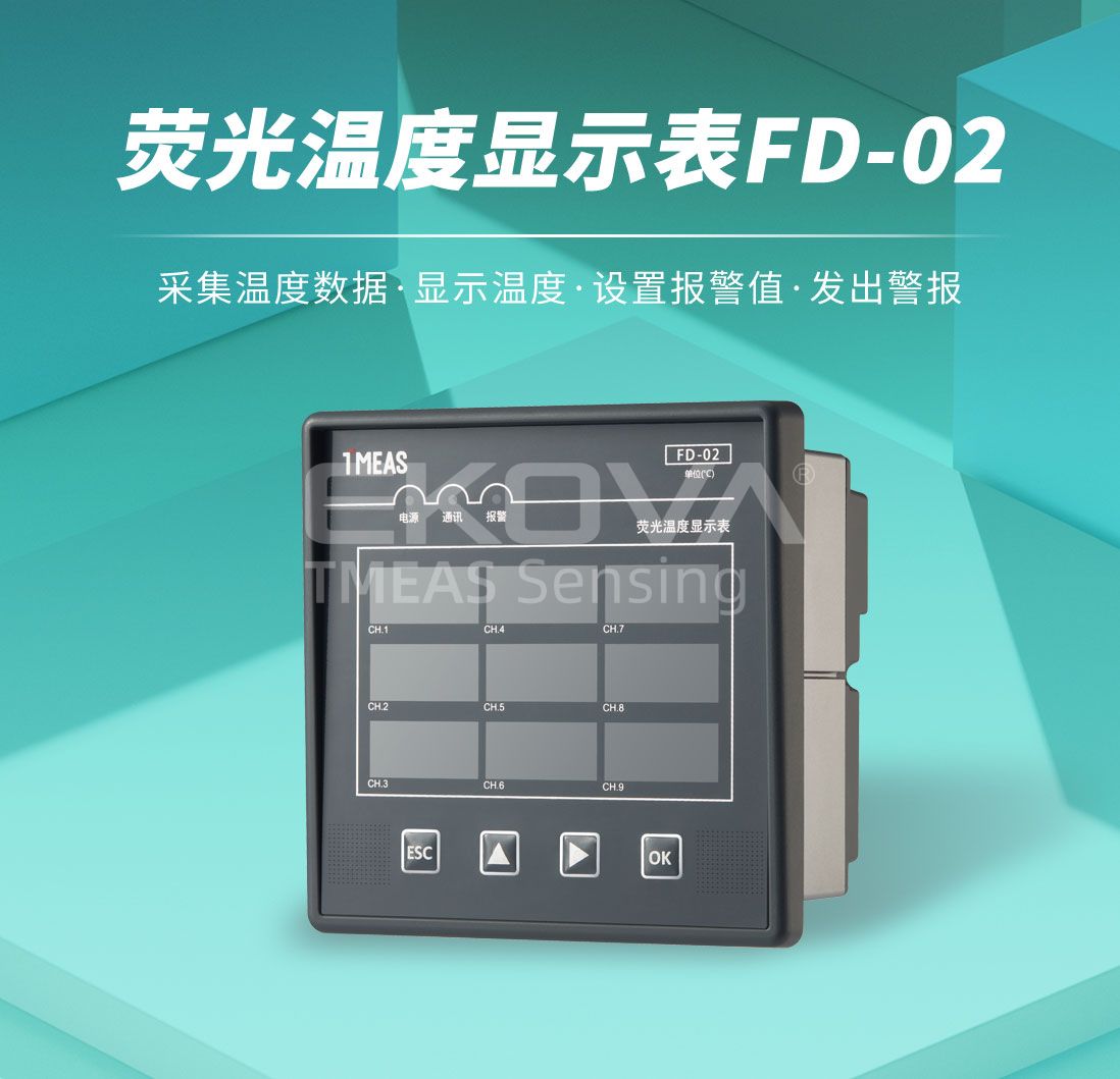 荧光温度显示表FD-02