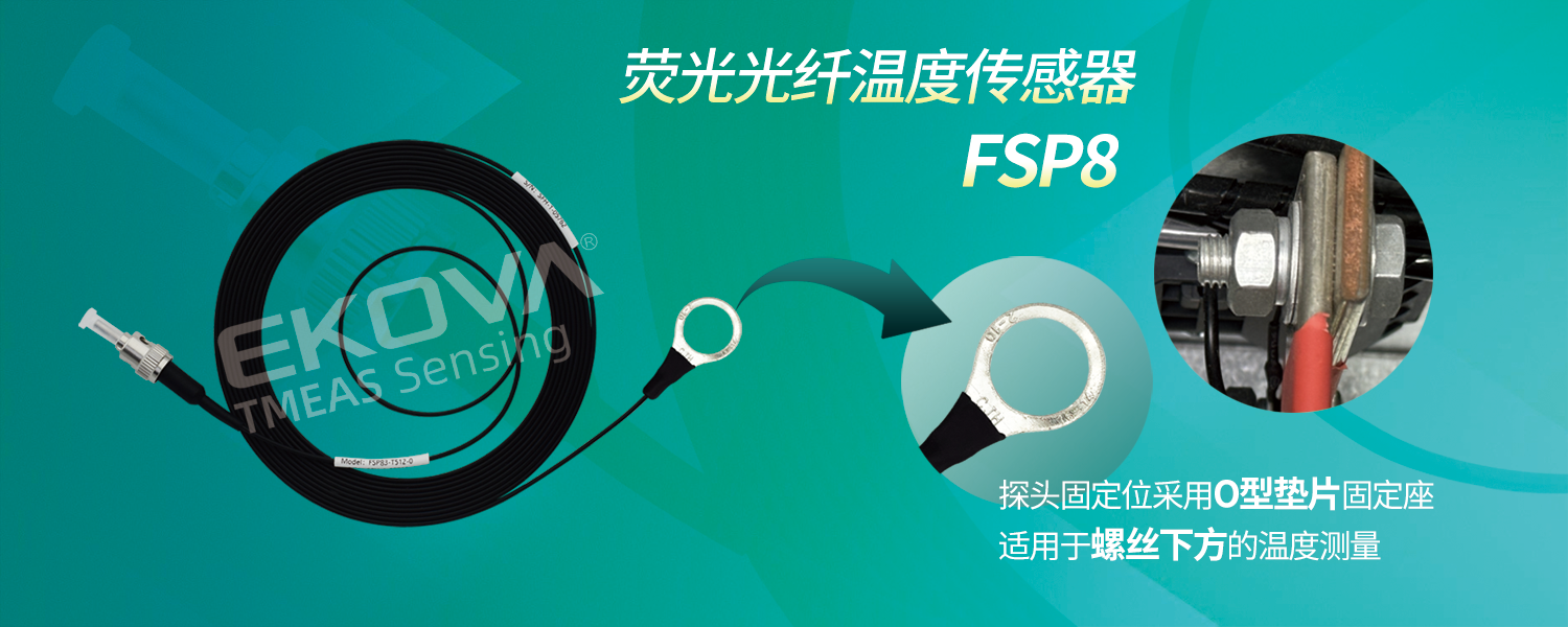 电机FSP8-轮播