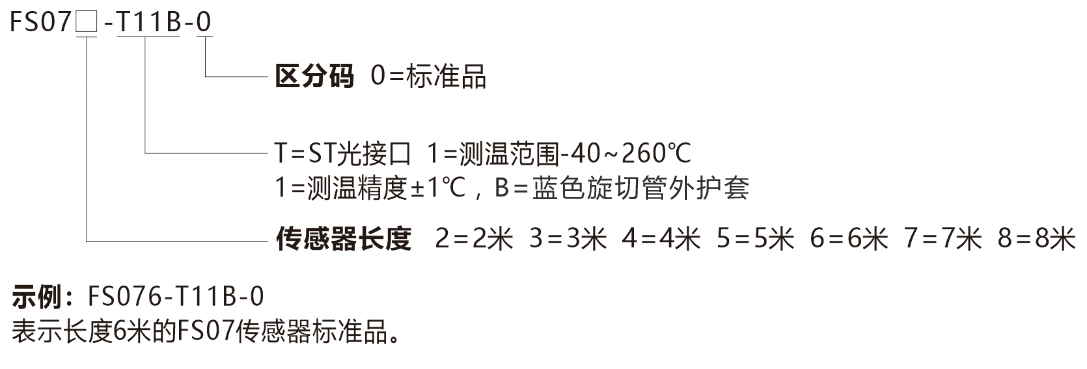 FS07-选型说明