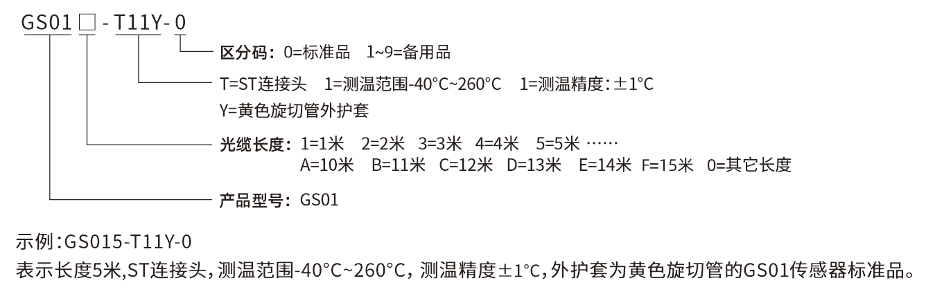 GS-01选型说明