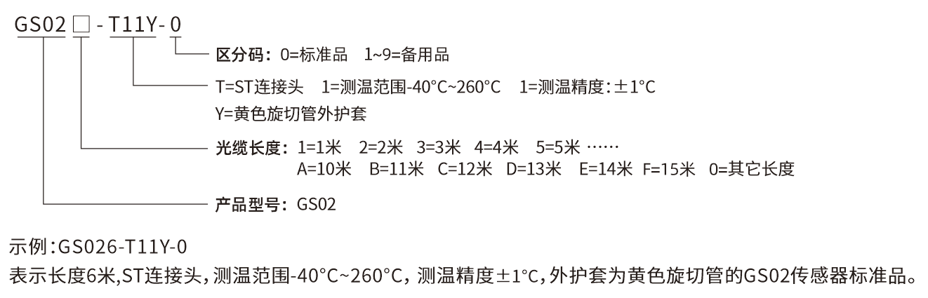 GS-02选型说明