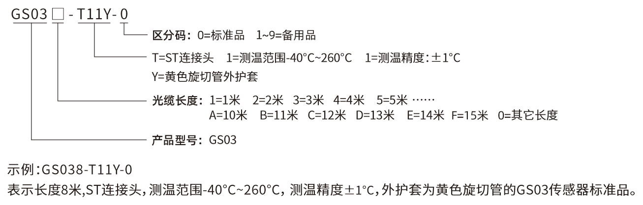 GS-03选型说明