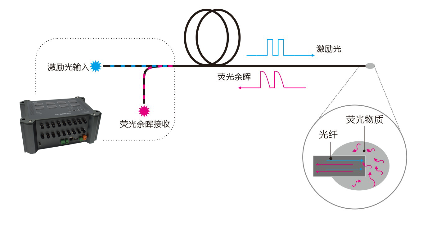 FM21-插图